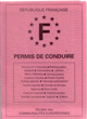 photo-permis-de-conduire-B-francais-small